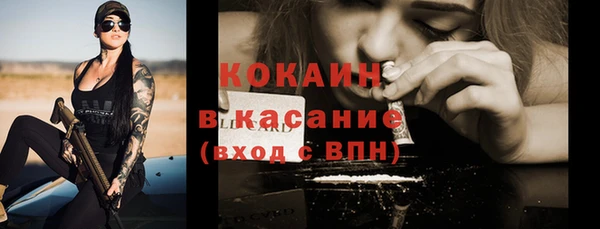 apvp Горняк