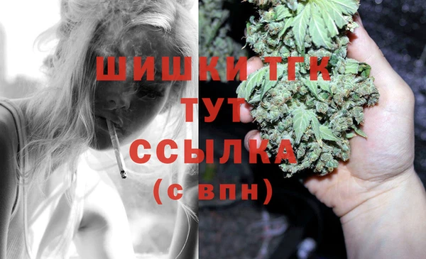 apvp Горняк