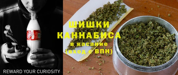 гашик Горно-Алтайск