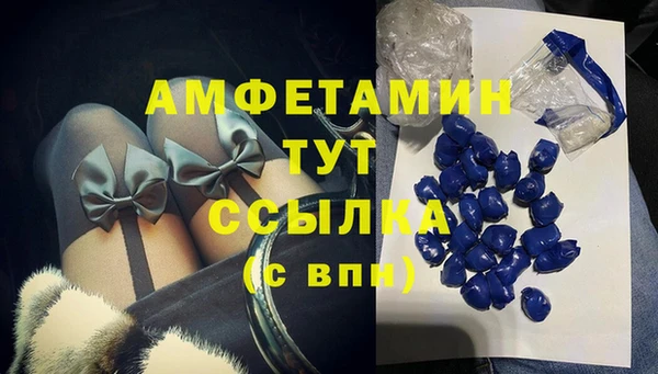 apvp Горняк